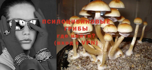 экстази Медвежьегорск